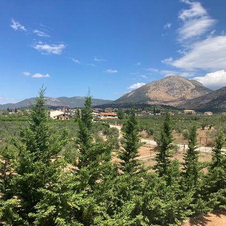 Enchanting Mycenae - Your Greek Holiday Retreat 阿尔戈斯 外观 照片