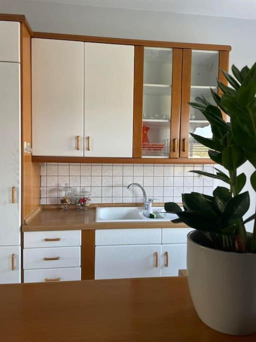 Enchanting Mycenae - Your Greek Holiday Retreat 阿尔戈斯 外观 照片