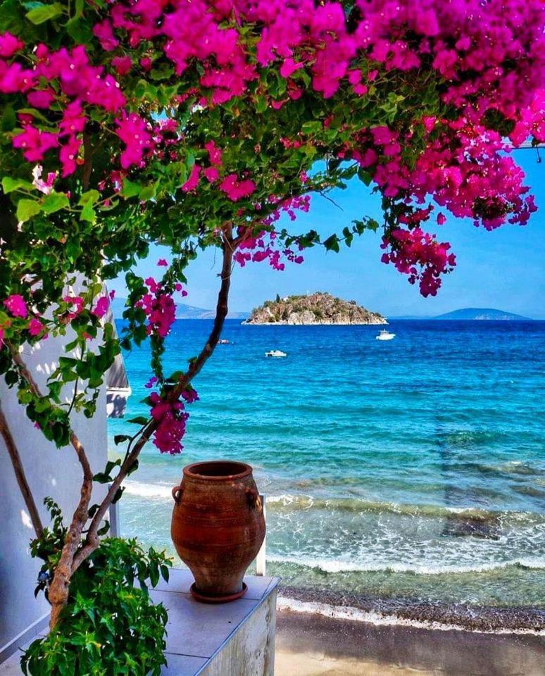 Enchanting Mycenae - Your Greek Holiday Retreat 阿尔戈斯 外观 照片