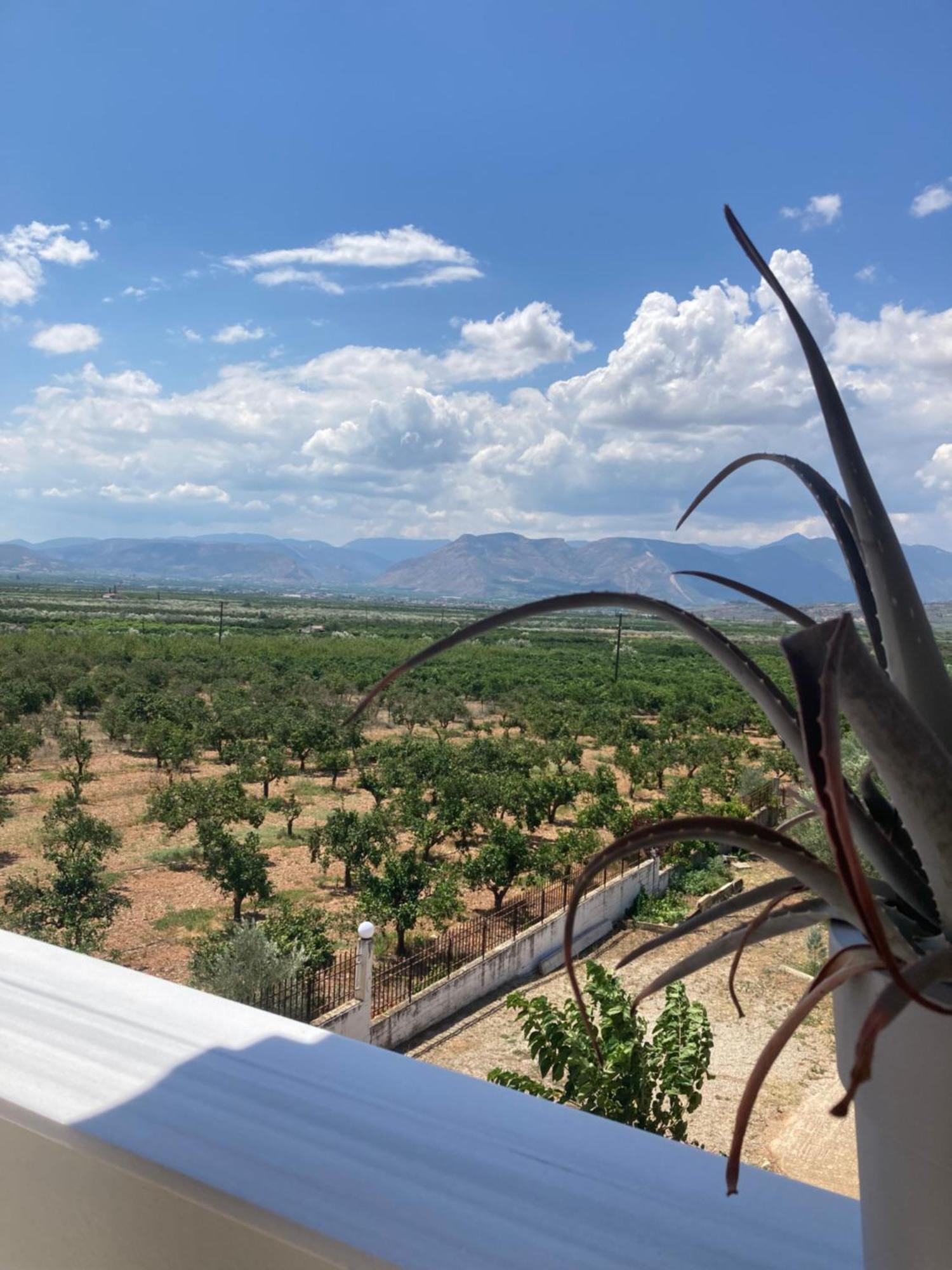 Enchanting Mycenae - Your Greek Holiday Retreat 阿尔戈斯 外观 照片