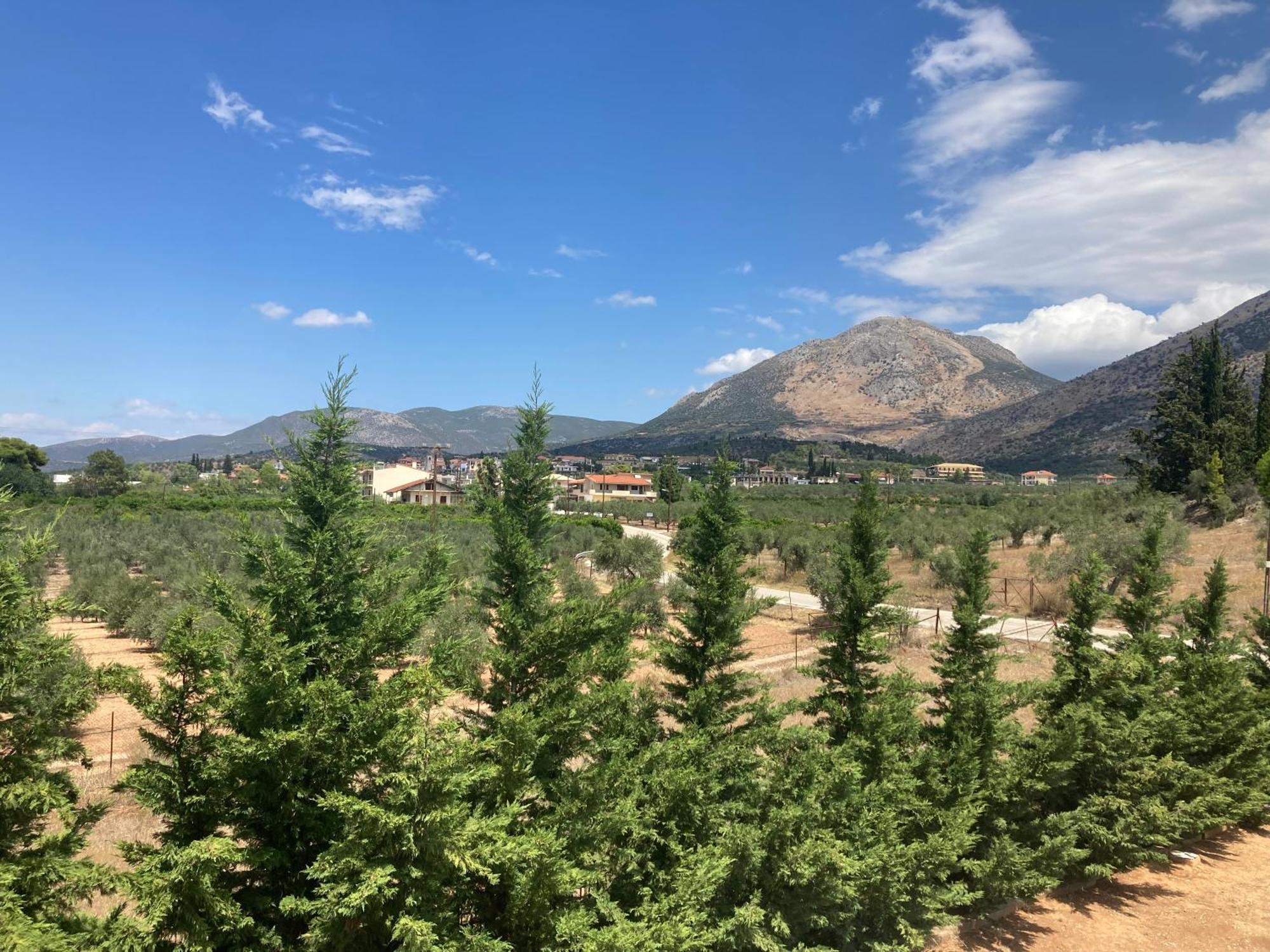 Enchanting Mycenae - Your Greek Holiday Retreat 阿尔戈斯 外观 照片